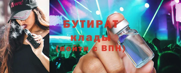 индика Гусь-Хрустальный