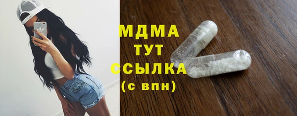 индика Гусь-Хрустальный