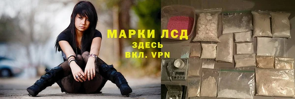 ALPHA PVP Гусев