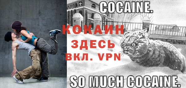 индика Гусь-Хрустальный