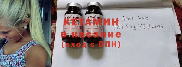 индика Гусь-Хрустальный