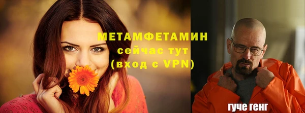 ALPHA PVP Гусев