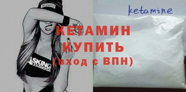 индика Гусь-Хрустальный