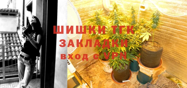 индика Гусь-Хрустальный
