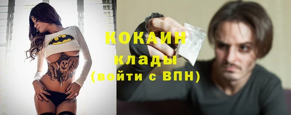 индика Гусь-Хрустальный