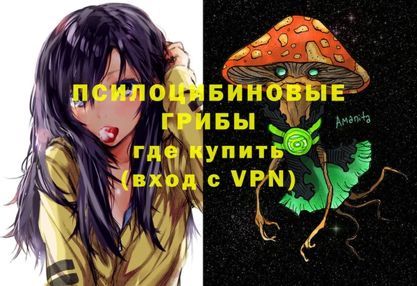 ALPHA PVP Гусев