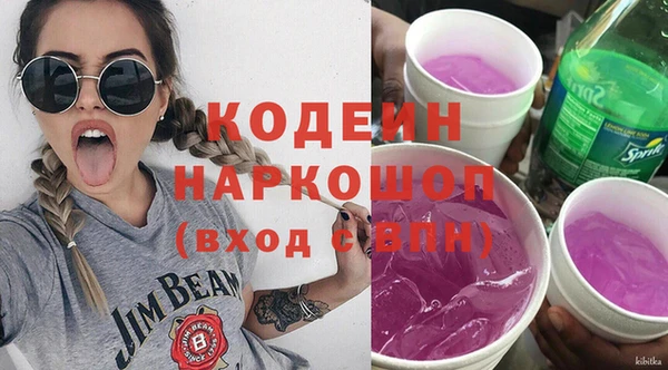 индика Гусь-Хрустальный