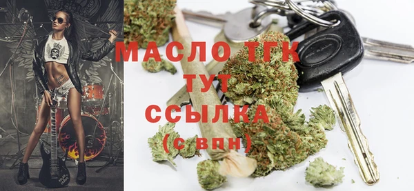 сатива Дмитриев