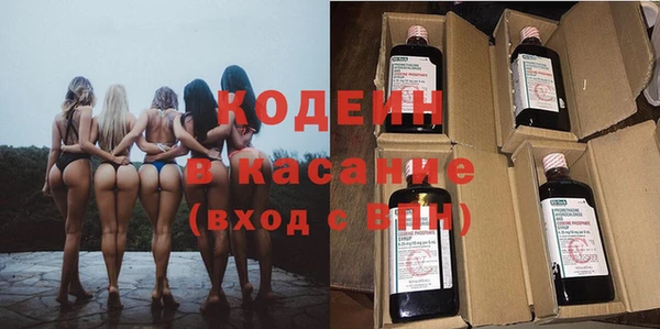 индика Гусь-Хрустальный