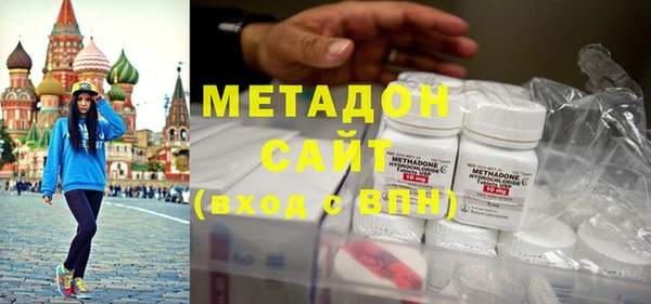 индика Гусь-Хрустальный