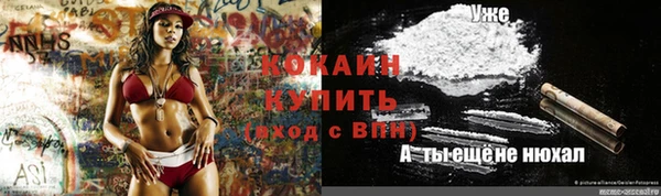индика Гусь-Хрустальный