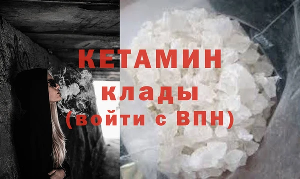 индика Гусь-Хрустальный