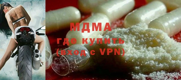 индика Гусь-Хрустальный