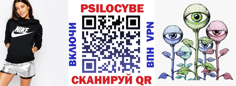 Галлюциногенные грибы Psilocybe  Купить где  Сафоново 